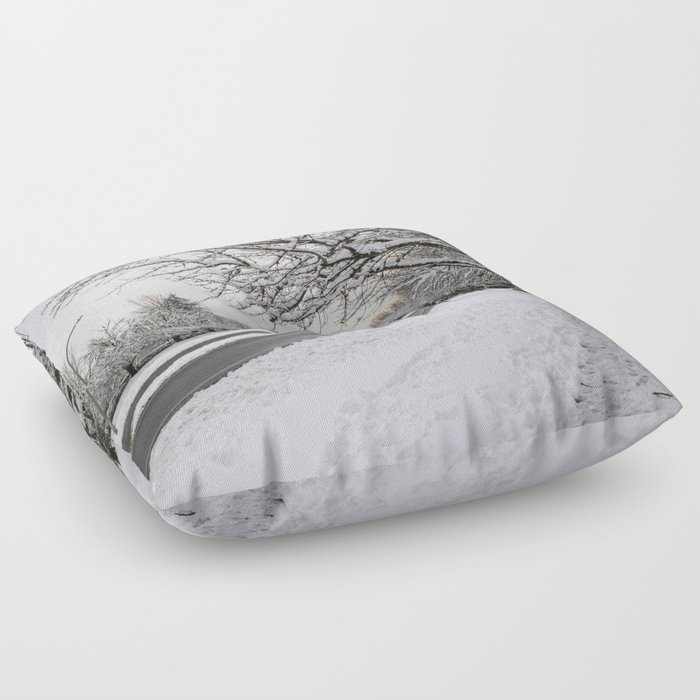 Paths In Winter Floor Pillow