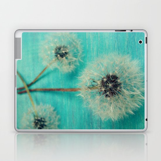 Three Wishes Laptop & iPad Skin