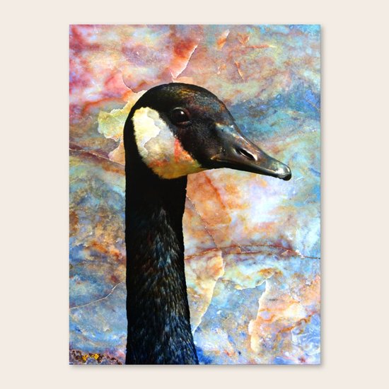Goosed Canvas Print
