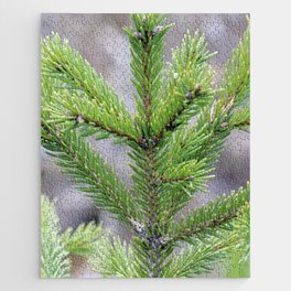 Pine Branch Jigsaw Puzzle