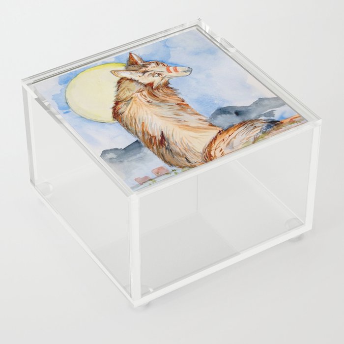 Coyote Acrylic Box