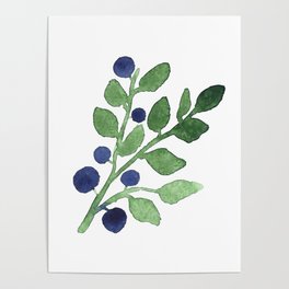 Blueberry  Poster