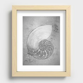 Chambered nautilus in grey Recessed Framed Print