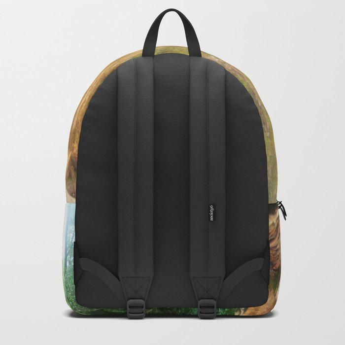 big boy backpack
