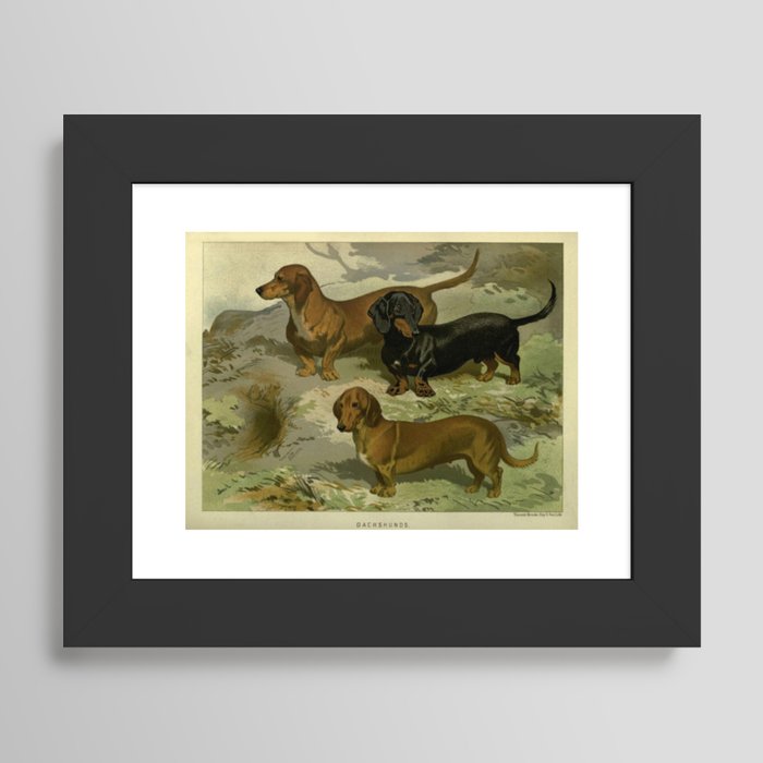 Framed Art Print