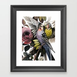 Birds Framed Art Print