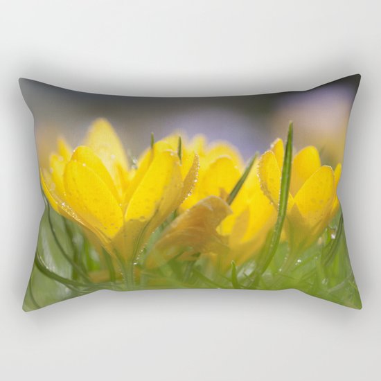Yellow wet crocus at backlight Rectangular Pillow