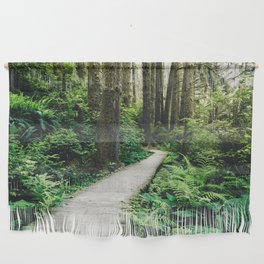 Forest Boardwalk - Redwood National Park Hiking Wall Hanging