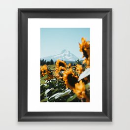 Mt. Hood Sunflower Field Framed Art Print