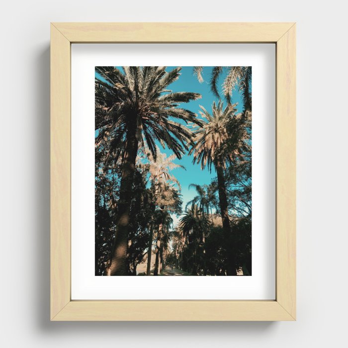 Palm Trees photography Recessed Framed Print