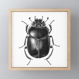 Beetle 13 Framed Mini Art Print