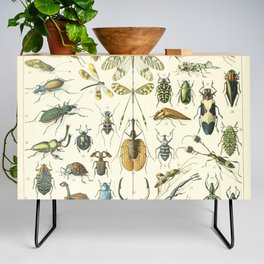Vintage Insects Poster - Adolphe Millot Credenza