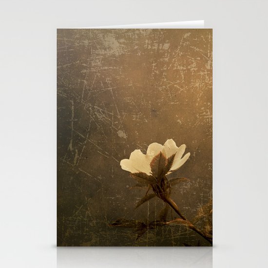 Wild Old Rose Stationery Cards