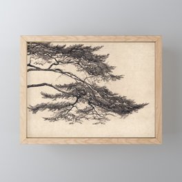 Pine Tree Branch Framed Mini Art Print