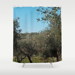 Olive trees in the Apulian landscape in autumn.  Shower Curtain
