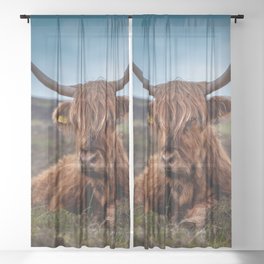Scottish Highland Cow | Scottish Cattle | Cute Cow | Cute Cattle 03 Sheer Curtain
