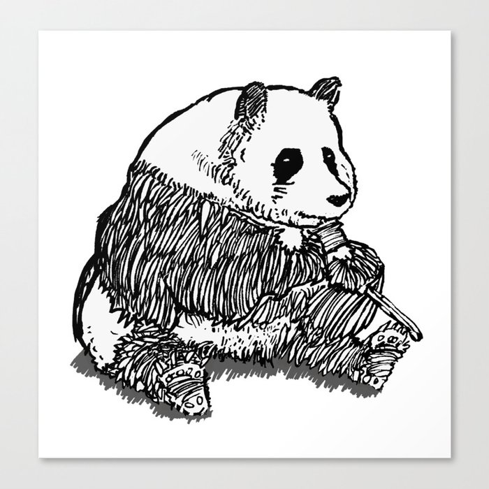 Panda Chillin Canvas Print