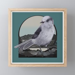 Alpine Gray Jay Bird Framed Mini Art Print