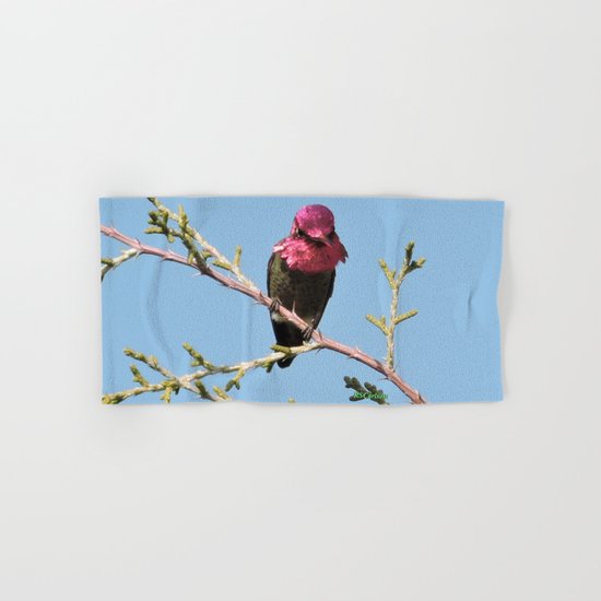 Mr. Anna's Hummingbird in Ideal Light Hand & Bath Towel