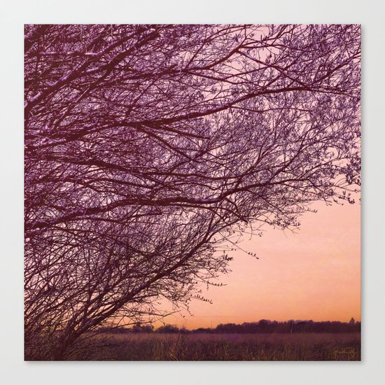 Purple Tree, Coral Orange Sky Canvas Print