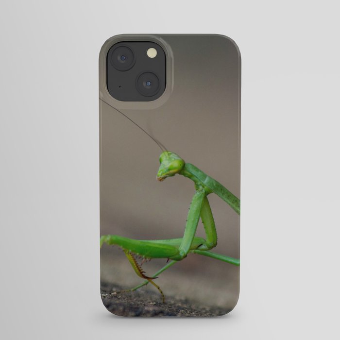 Mantis End iPhone Case