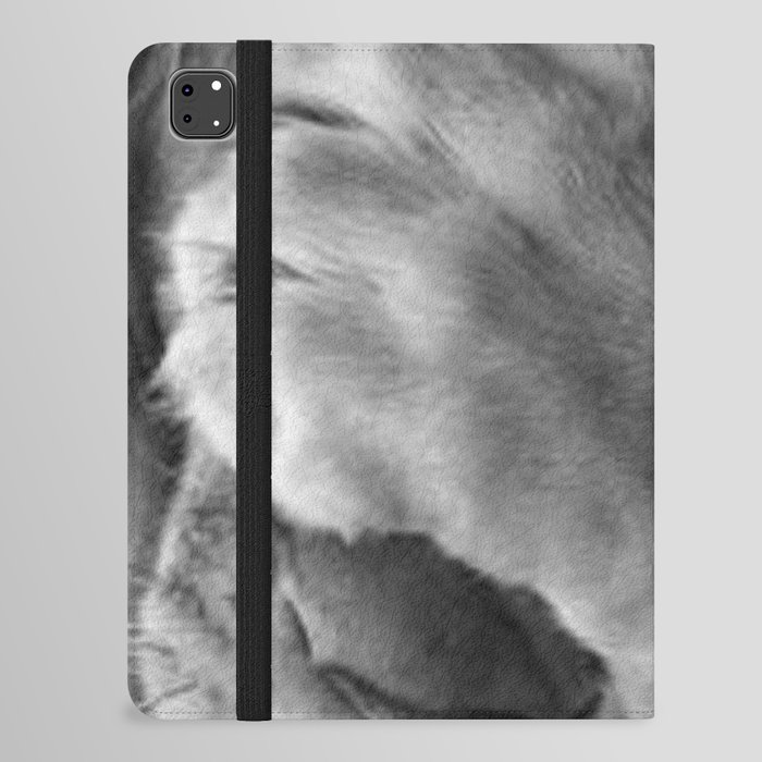 Even Lions Have Bad Days - The Lion Sleeps Tonight black and white photograph  iPad Folio Case