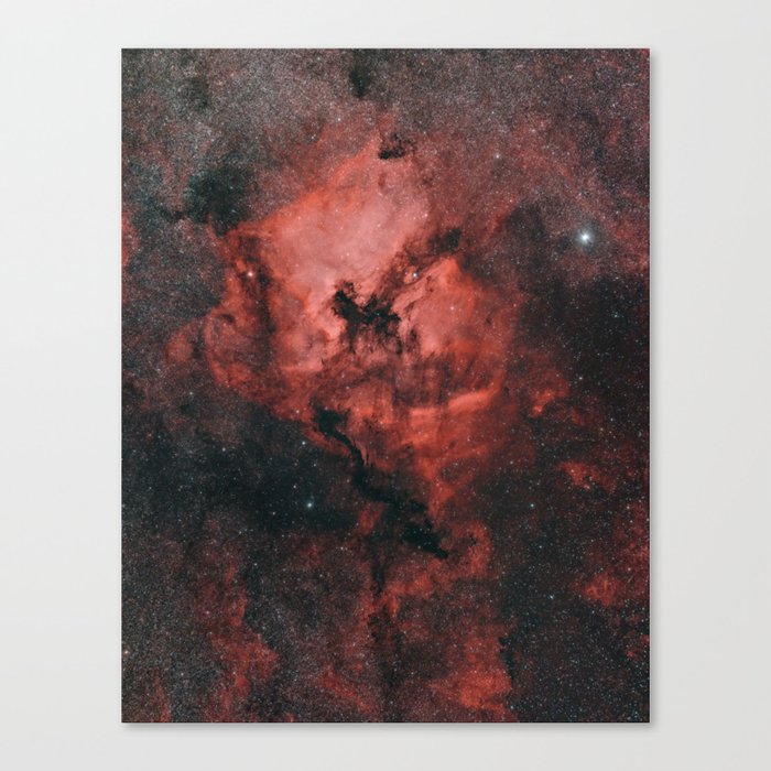 The North America Nebula Canvas Print