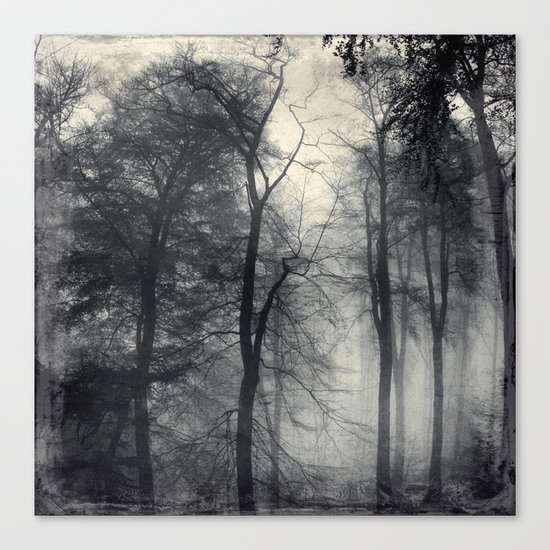 realm of shades - misty forest Canvas Print