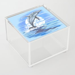 Dolphin Acrylic Box