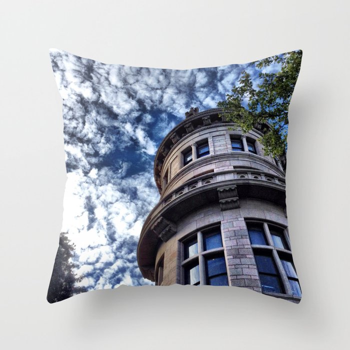 Museum Of Natural History Throw Pillow By Emilywerboff Society6