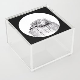 Peace in the Wild - Fox ink Drawings Acrylic Box
