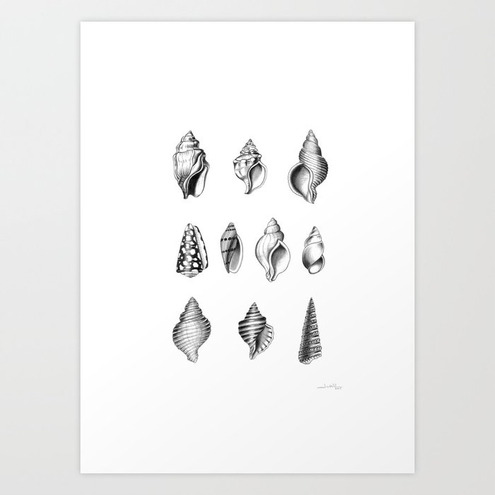 seashells Art Print