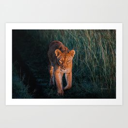 Lioness on the move Art Print | Wildanimals, Wallart, Lioness, Lionlovers, Mostpopular, Wildlife, Digital, Homedecor, African, Artprints 