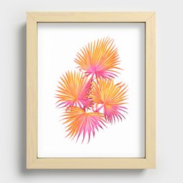 Washingtonia Palm Recessed Framed Print