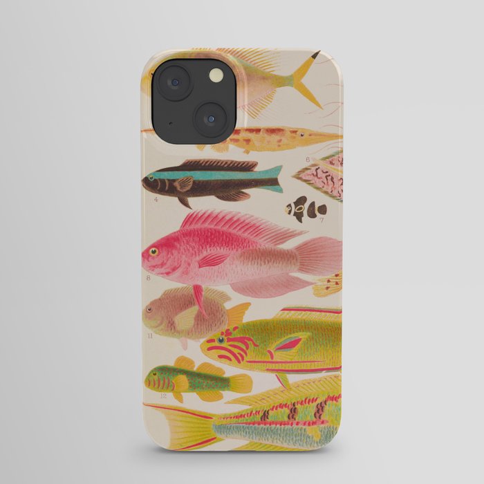 Colorful Tropical Fishes Vintage Sea Life Illustration