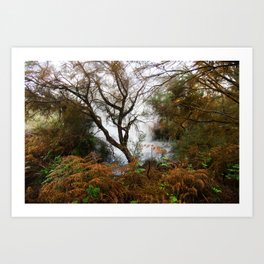 Steam pit in the woods | Taupo New Zealand  Art Print