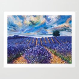 Fields of Lavender landscape painting by Vincent van Gogh Art Print