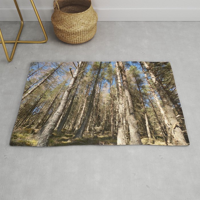 Scottish Pine Forest in the Spring Sunlight Rug