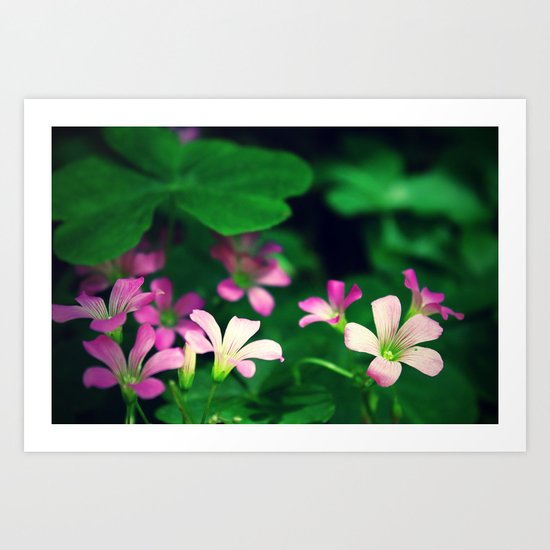 Verdant Art Print
