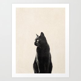 MINIMAL ANIMAL / Black Cat Art Print | Illustration, White, Animal, Pet, Photograph, Minimal, Wildlife, Cream, Black, Photo 
