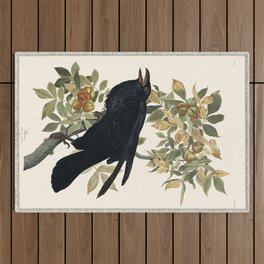 Audubon plate - Raven (Corvux corax) Outdoor Rug