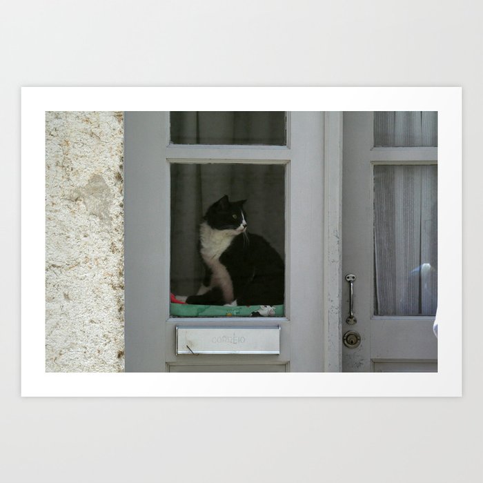 A Cat In The Window Art Print By Annalemos Society6