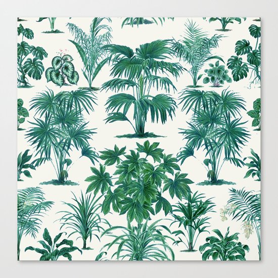 Exotic Tropical Palm Print Canvas Print