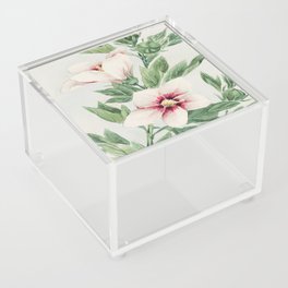 Hibiscus Plant Acrylic Box