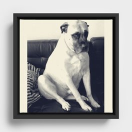 BRUNO Framed Canvas