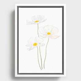 3 white cosmos flowers ink and watercolor Framed Canvas