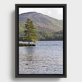 The Lonely Tree Framed Canvas