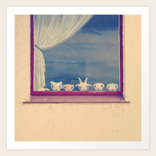 skulls Art Print
