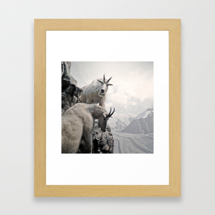 Hi, we are the mountain goats Framed Art Print