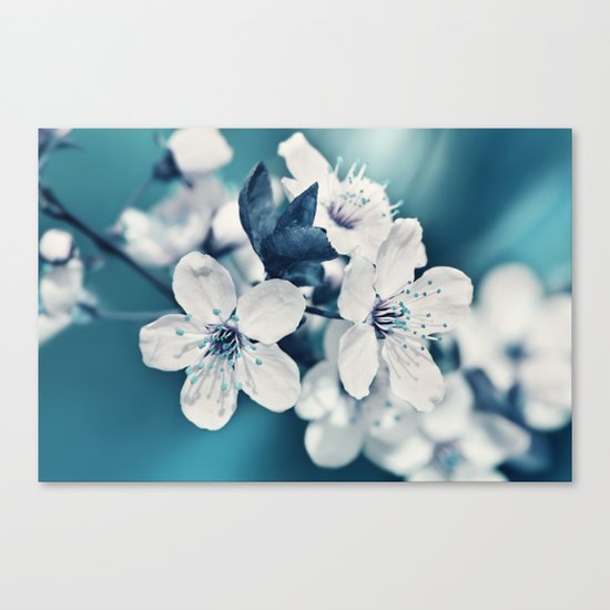 Sping 255 Canvas Print